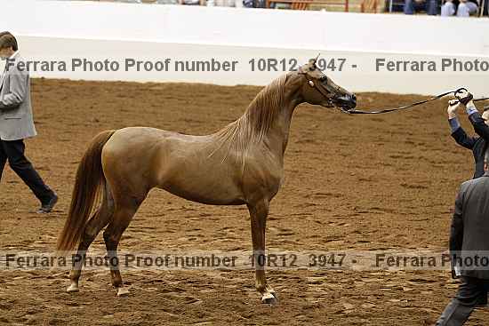 Proof Number 10r12_3947