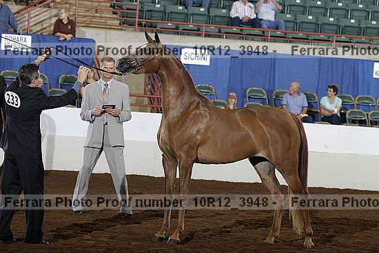 Proof Number 10r12_3948