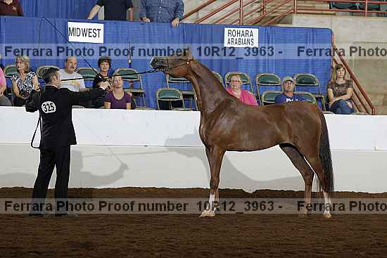 Proof Number 10r12_3963