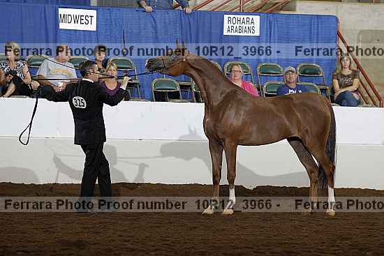 Proof Number 10r12_3966