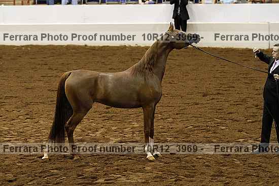 Proof Number 10r12_3969