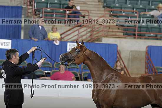 Proof Number 10r12_3973