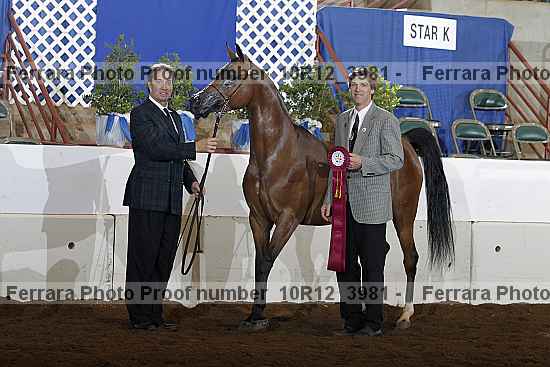 Proof Number 10r12_3981