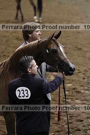 Proof Number 10r12_3984