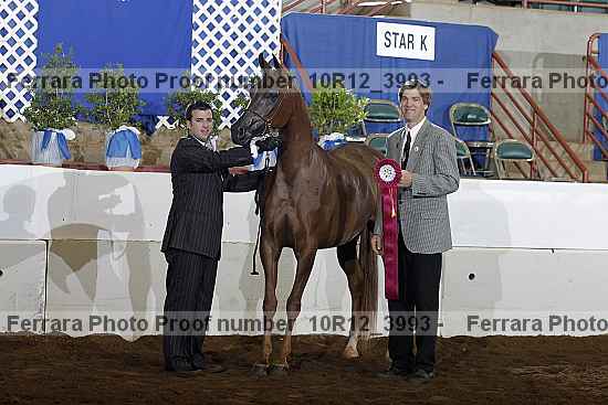 Proof Number 10r12_3993