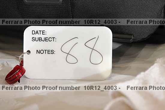 Proof Number 10r12_4003