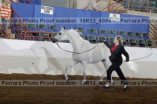 Proof Number 10r12_4004