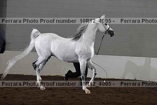 Proof Number 10r12_4005