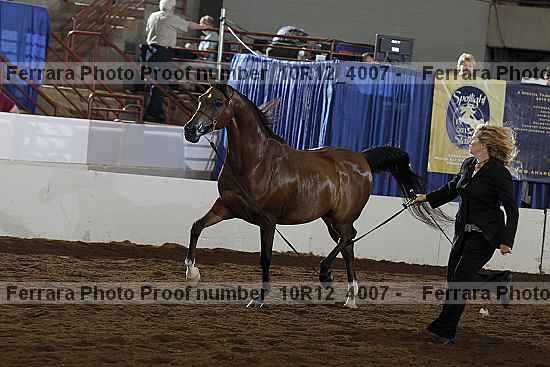 Proof Number 10r12_4007