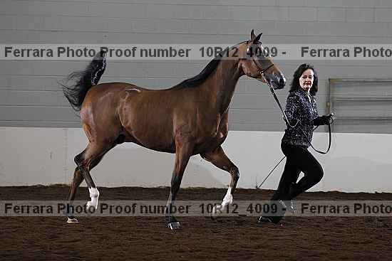 Proof Number 10r12_4009