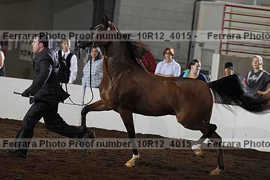 Proof Number 10r12_4015