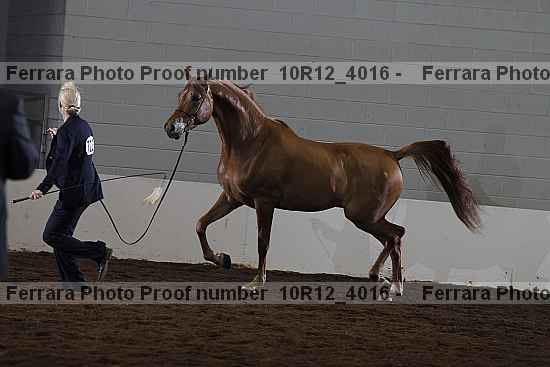 Proof Number 10r12_4016