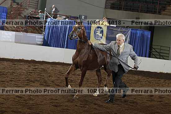 Proof Number 10r12_4018