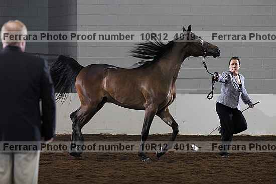 Proof Number 10r12_4019
