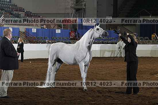 Proof Number 10r12_4023