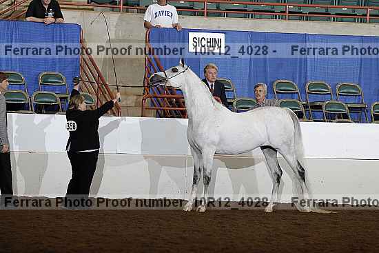 Proof Number 10r12_4028