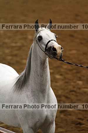 Proof Number 10r12_4029