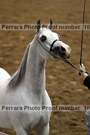 Proof Number 10r12_4031