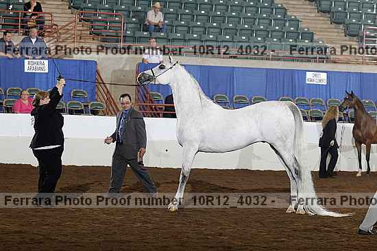 Proof Number 10r12_4032