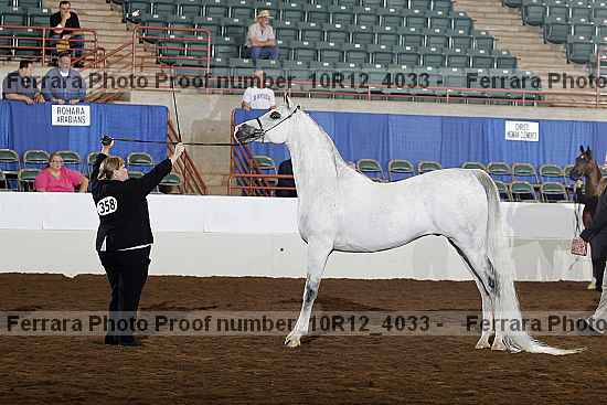 Proof Number 10r12_4033
