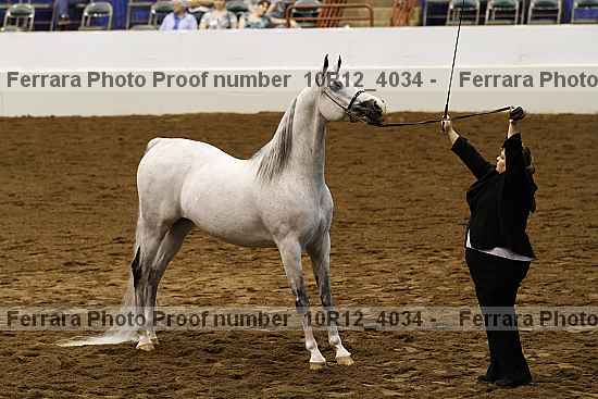 Proof Number 10r12_4034