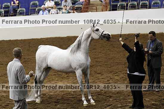 Proof Number 10r12_4035