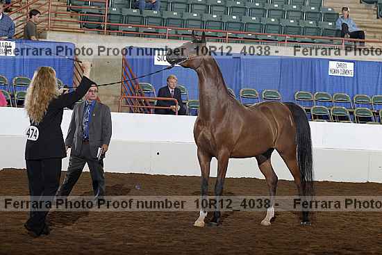 Proof Number 10r12_4038
