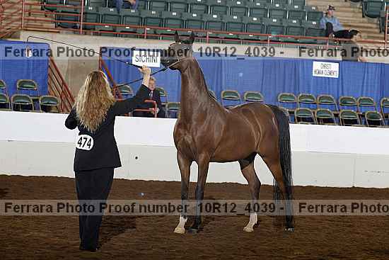 Proof Number 10r12_4039