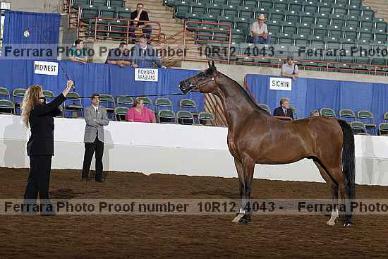 Proof Number 10r12_4043