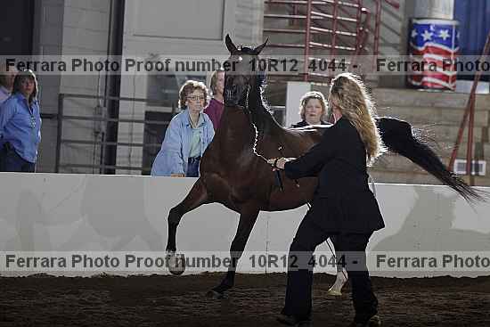 Proof Number 10r12_4044