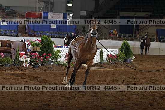 Proof Number 10r12_4045
