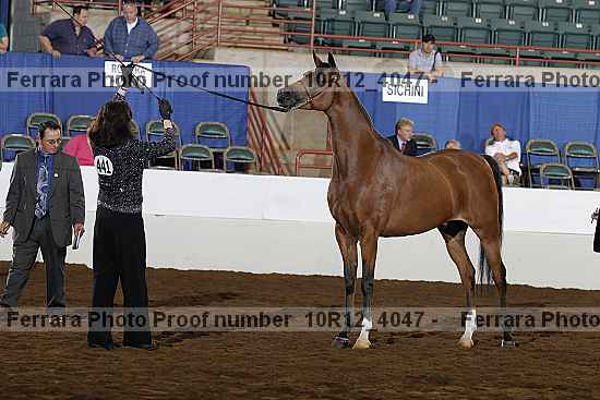 Proof Number 10r12_4047