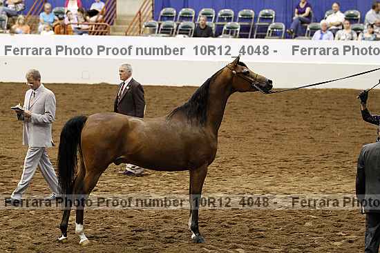 Proof Number 10r12_4048