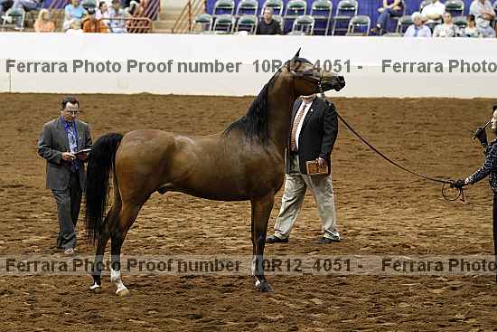 Proof Number 10r12_4051