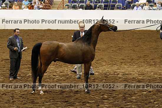 Proof Number 10r12_4052