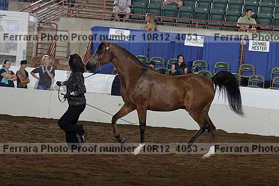 Proof Number 10r12_4053