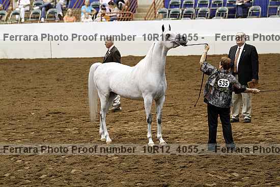 Proof Number 10r12_4055