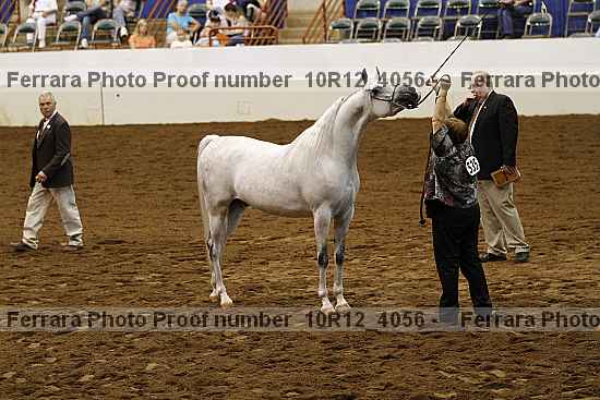 Proof Number 10r12_4056