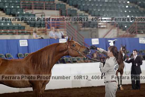 Proof Number 10r12_4061