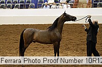 10r12_4064 thumbnail