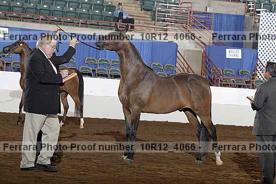Proof Number 10r12_4066