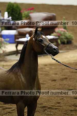 Proof Number 10r12_4067