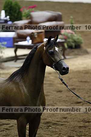 Proof Number 10r12_4068