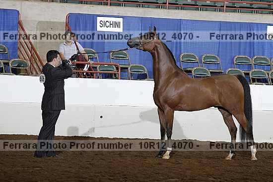Proof Number 10r12_4070