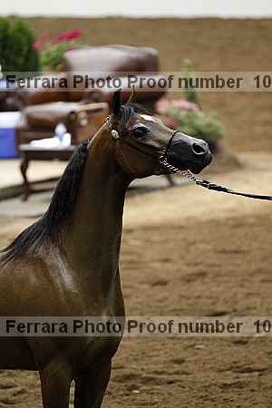 Proof Number 10r12_4071