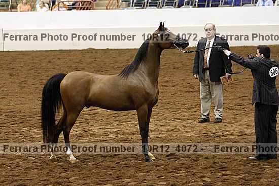 Proof Number 10r12_4072