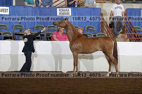 Proof Number 10r12_4075