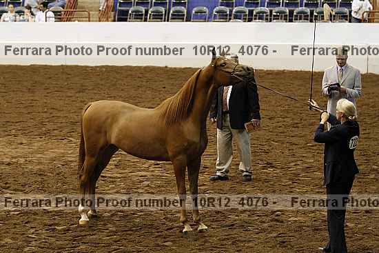 Proof Number 10r12_4076