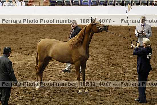 Proof Number 10r12_4077