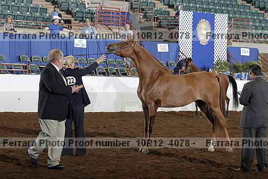 Proof Number 10r12_4078